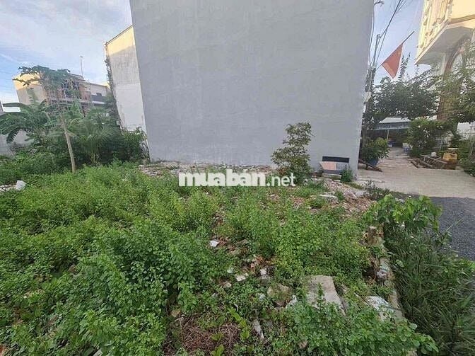 💥MUA BÁN CHÍNH CHỦ ĐẤT 1/ AN PHÚ ĐÔNG Q12- DIỆN TÍCH 50M2(4.7 X 10.5)