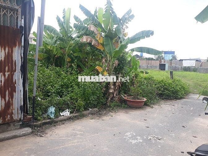 Bán đất LM - HXH (8m x 15m = 121 m2) xã Đông Thạnh Hóc môn cũ