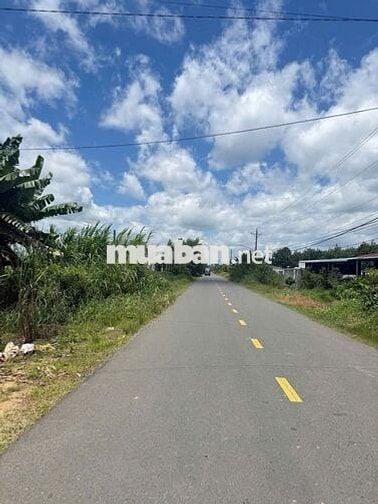 15x40 600m2 300 Thổ Cư 195Trieu Bán Gấp