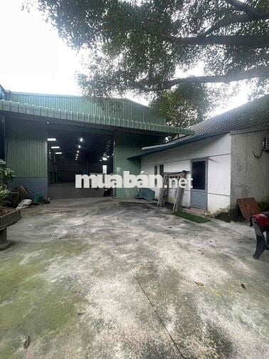 Cho thuê xưởng đẹp có sẵn 3F,văn phòng,đường xe cont,Thiện Tân