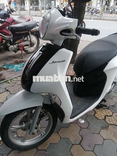 janus xe nhà bstp chính chủ