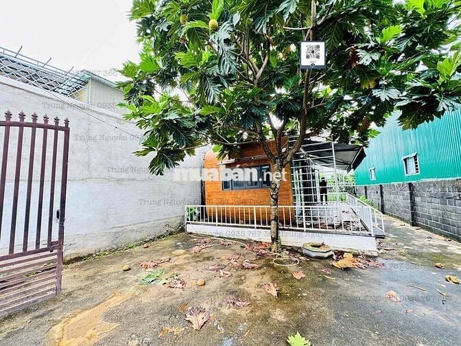 CHO THUÊ NHÀ SÂN VƯỜN - HẺM AMA THAO