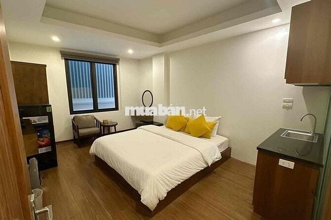 chính chủ cho thuê chung cư mini full nội thất