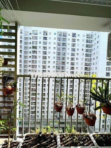 BÁN CĂN HỘ ĐẸP NHẤT CHUNG CƯ PROSPER 65M2 - TẦNG TRUNG - 2PN/2TL