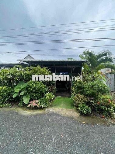 Bán nhà Rẻ, Đẹp, Lộ Ô Tô Kdc Tân Bình - Tân Quới - Vĩnh Long