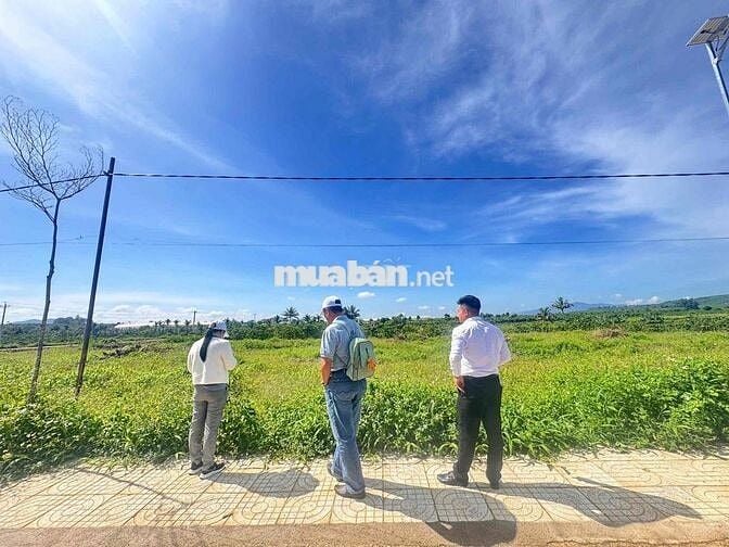 Còn 1 lô tại Đinh Văn - Lâm Hà chỉ 430 triệu