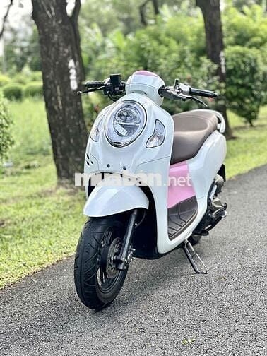 ✅✅ Scoopy 2023. Zin Nguyên Bản. Siêu Keng Ngay Chủ