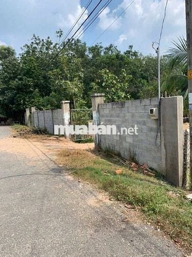 🌳ĐẤT MẶT TIỀN ĐƯỜNG HÀ THỊ PHIÊN, CỦ CHI - THƯƠNG LƯỢNG GIÁ🌳