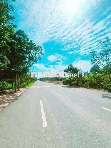 1.03HA - MT VÕ VĂN KIỆT - BÁN GẤP !