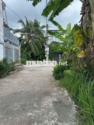 🍁 BÁN ĐẤT THỔ CƯ GẦN CHỢ MỸ PHONG - GIÁ TỪ 550TR/ NỀN - SỔ HỒNG RIÊNG