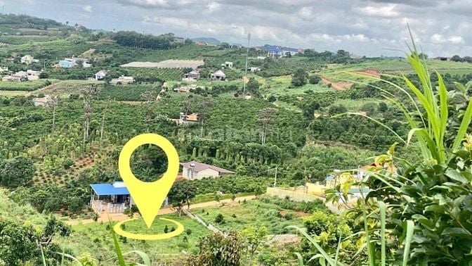 Đất nghỉ dưỡng xã Nam Ban cách Đà Lạt 20km