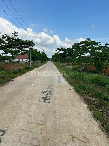 Cần Bán Gấp Lô Đất Siêu Rẻ 5 X 24 TC 60 Phường Hắc Dịch - Phú Mỹ.