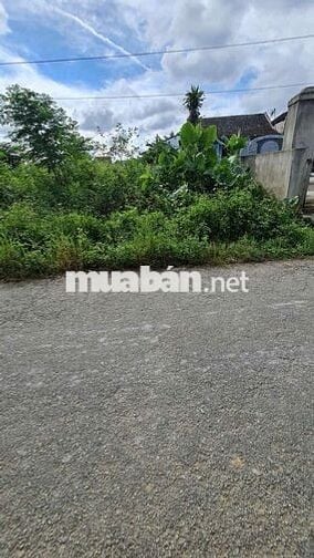 Đất Gần Tứ Hạ Khu Vực Không khí Trong lành