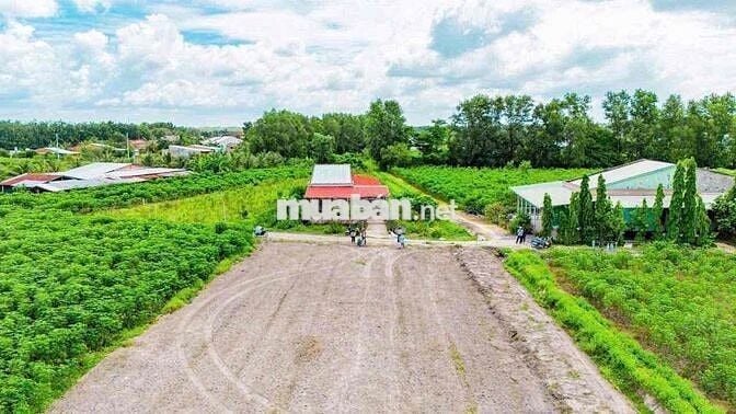 Đất Nền Full Thổ Cư Tại DMC Tây Ninh