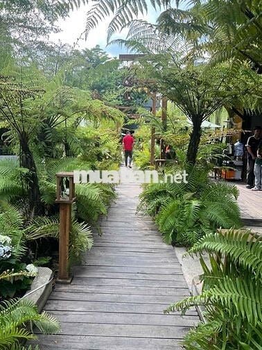 Sang Quán Cà Phê Sân Vườn Gò Vấp