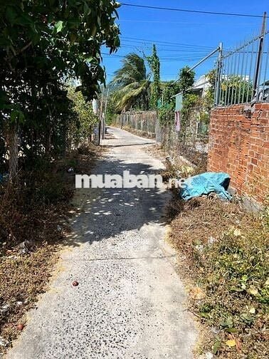 đất phong phú nền đẹp tiện đầu tư xây nhà