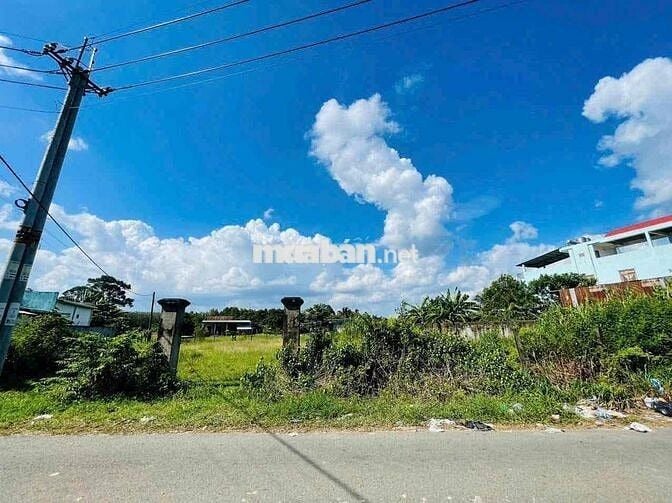 CHỦ CẦN TIỀN BÁN GẤP LÔ ĐẤT THÁI MỸ - CỦ CHI , SHR CCTN