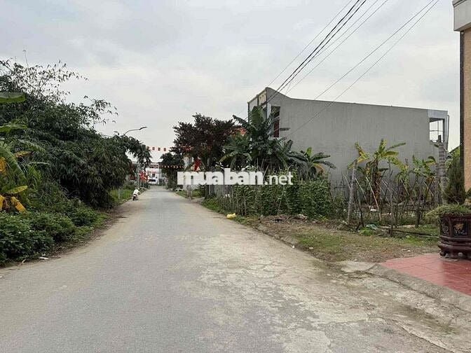 🌟 BÁN ĐẤT TRỐNG 294M² – KHU PHÂN LÔ LƯƠNG QUÁN, NAM SƠN, AN DƯƠNG 🌟