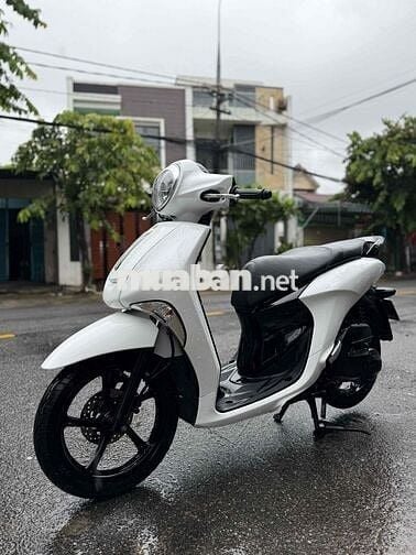 Janus 2017 B số 43 Góp trả trước 3tr5