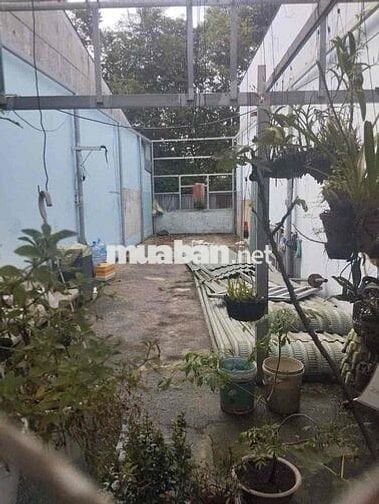 Bán Đất mặt tiền đường nhựa tân xuân 7, Tân Xuân hóc môn