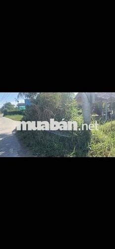 bán đất vườn gò công đông tiền giang diên tich 1000m