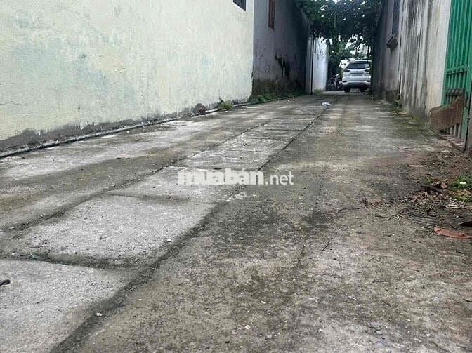 🏡 CƠ HỘI HIẾM – *** 1 LÔ 55m² TẠI CỔ ĐIỂN – HẢI BỐI 🏡  ✅ Diện tíc