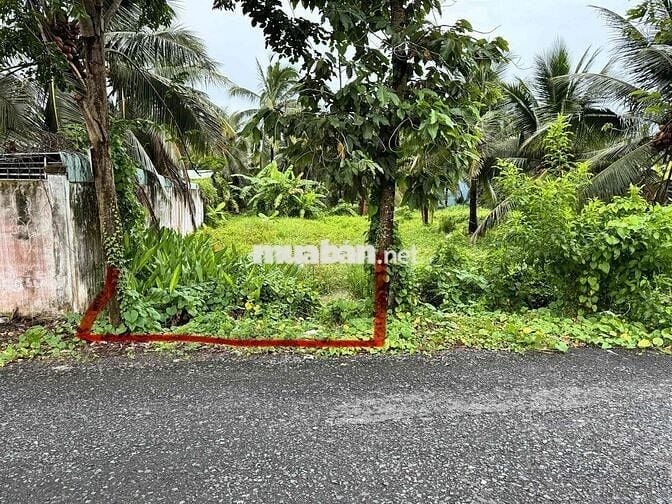 Đất 5.25m x 34m,có 50m thổ, ĐH87, xã Mỹ Phong.
