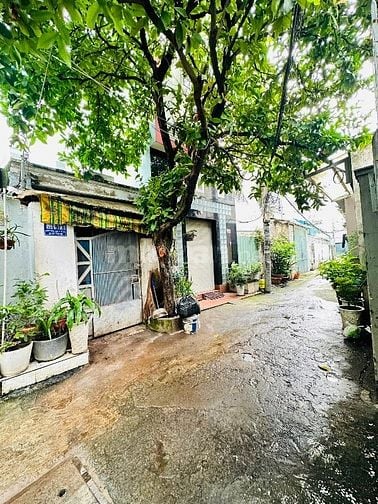 Bán nhà rẻ hẻm xe hơi (5,9x11,5) 499/6/14 Quang Trung p10 Gò Vấp