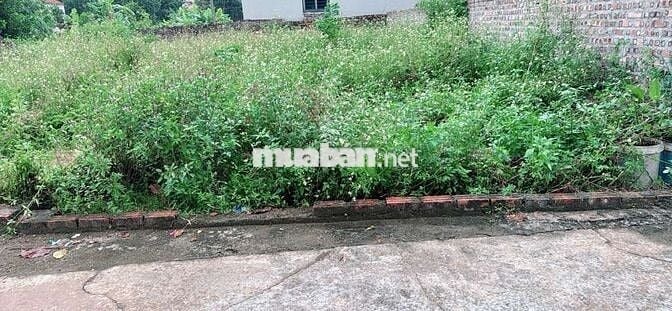 💥💥BÁN ĐẤT FULL THỔ CƯ - HIỀN NINH – SÓC SƠN💥💥