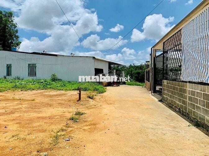 Chủ ra bán lô đất 1300m2 giá ngộp 590tr