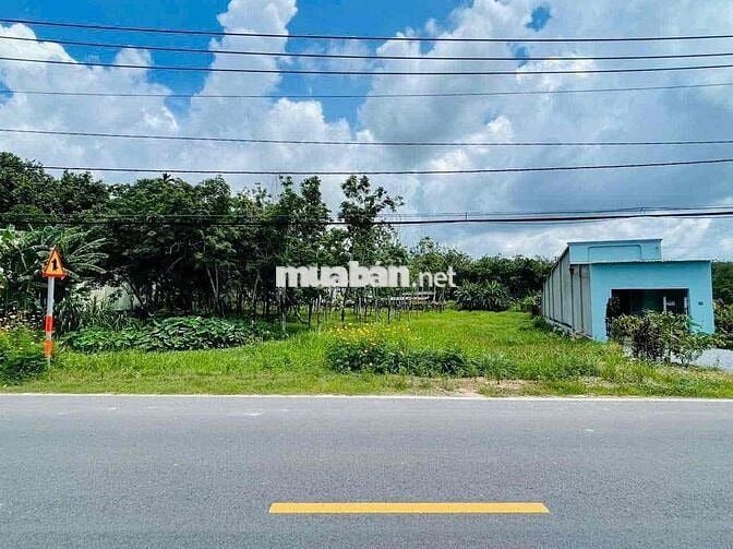 🔥 SIÊU HOT – ĐẤT MẶT TIỀN TL7, XÃ AN NHƠN TÂY, CỦ CHI 🔥