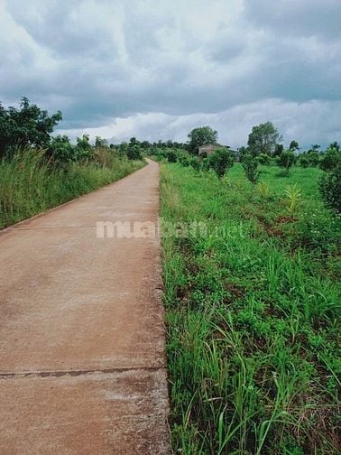 [CHỦ BÁN] 11000m² đất mặt tiền>>giá 2 TỶ khu vực Tuy Đức, Đắk Nông