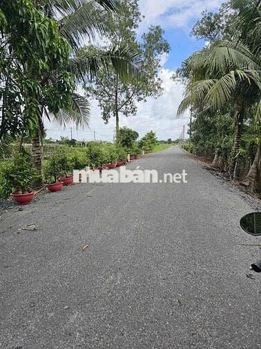 Bán đất 35x158M đường kênh 8, Bình Chánh, TPHCM