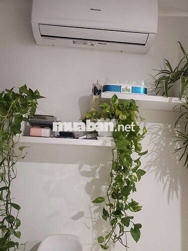 Chính chủ cho thuê nhà riêng 3 tầng nguyên căn , ngõ rộng, nông có sân