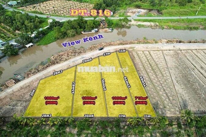 Quá Đẹp - Đất Vườn View Sông hàng F0,Diện Tích đẹp 20x50m