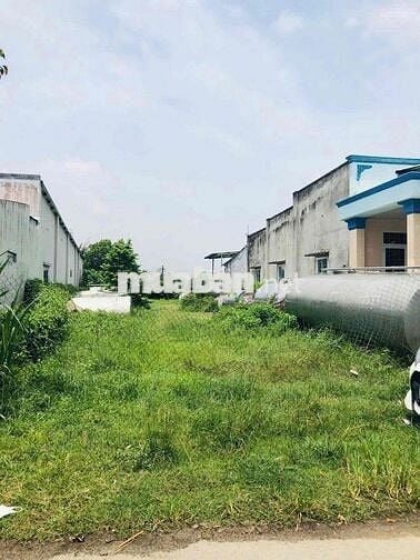 Cần bán nhanh mảnh đất 250m2 có 100m2 thổ cư chỉ 490tr
