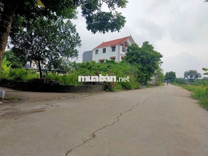 Cần bán 54m2 gần chợ Phụng Châu, 3 mặt thoáng.