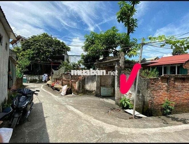 80m Thôn Phú Vinh, xã Phú Nghĩa, Chương Mỹ, Hà Nội 🎉🎉  Đường vào đất l
