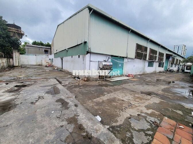 MẶT BẰNG-KHO XƯỞNG 1980m2-ĐƯỜNG CONTAINER, P.ĐÔNG HƯNG THUẬN, Q.12