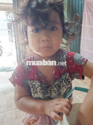 Không chạy nữa bán lại cho anh Em