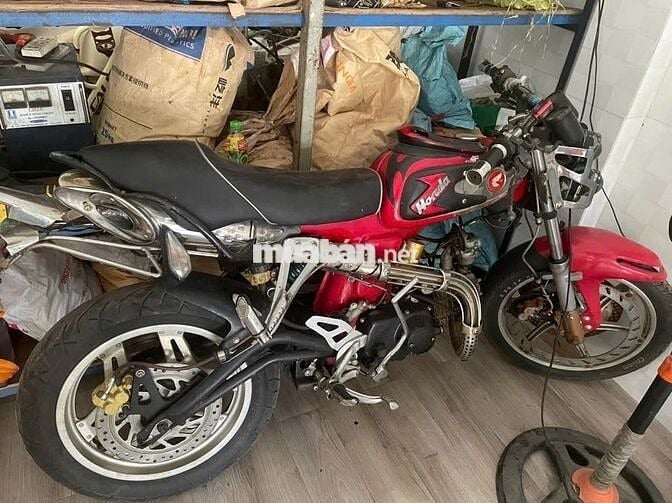 Xe 67 đẹp nhất Việt Nam