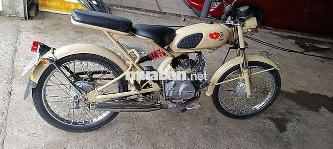 Solowin50