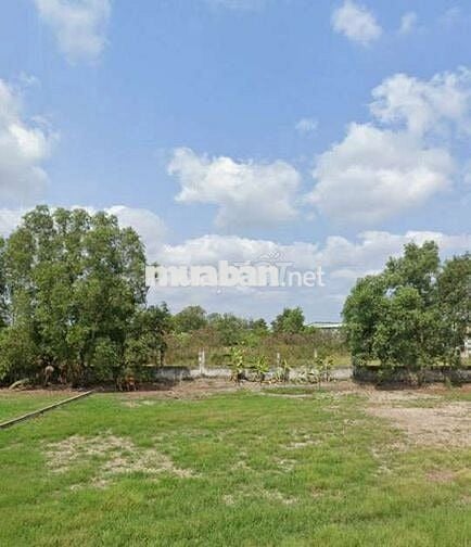 Bán đất mua vàng Đ rạch Ông Đồ, xã Bình Chánh ,Huyện Bình Chánh 995tr