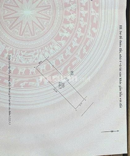 MAI CHÂU, ĐẠI MẠCH Ô TÔ CAMRY VÀO ĐẤT, SẴN DÃY TRỌ DÒNG TIỀN, NGAY CHÂ