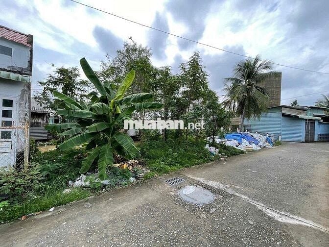 cần bán lô đất thổ 88m lộ oôt lớn Thông thoáng Bình Thuỷ, Cần thơ