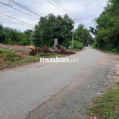 44×58m, 400tc. Ngay KCN Hiệp Thạnh Tây Ninh. 180tr/mn.