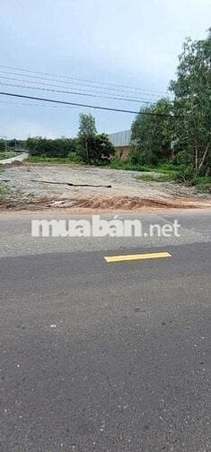 Mặt tiền đường Phạm Hồng Thái cần bán gấp 4 Lô 200m2