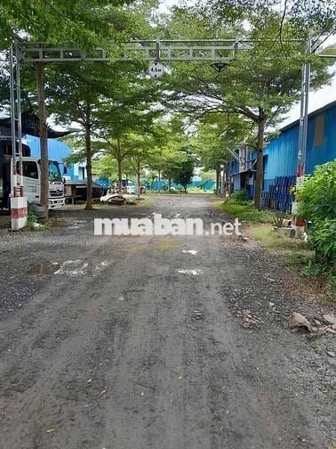 🆘🆘 CHO THUÊ 650M2 KHO CÓ 3FA 250KW ĐƯỜNG ĐOÀN NGUYỄN TUÂN