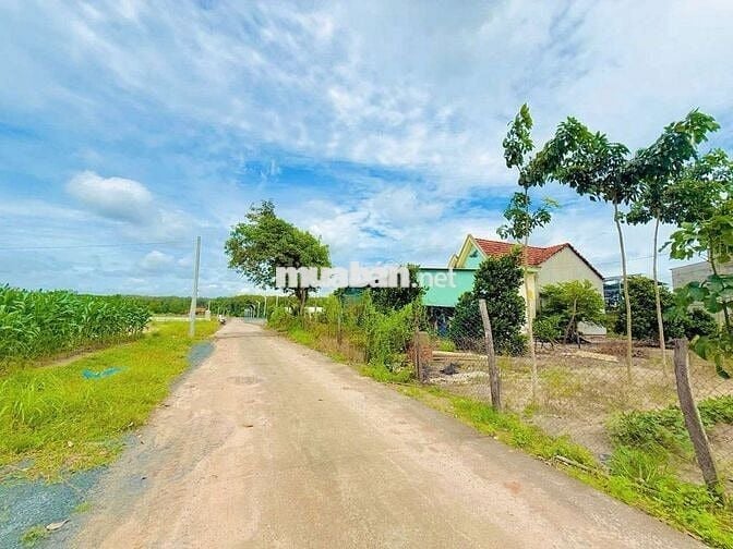 Kẹt Tiền Bán Lỗ Nền Đất Thổ Cư .200m2 (5*40)  thổ cư 50 m