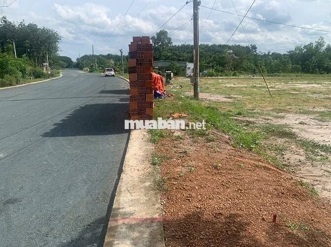 1200m2 có 500tc đã tách 5 sổ. Gạch xếp sẵn - mua sớm xây rào tặng